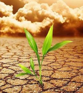 Reziliencia tréning Zsótér Gina vezetésével