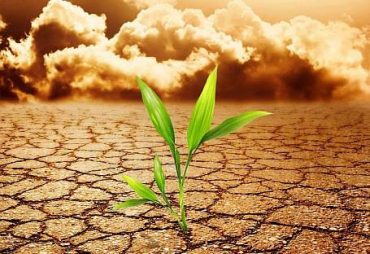 Reziliencia tréning Zsótér Gina vezetésével