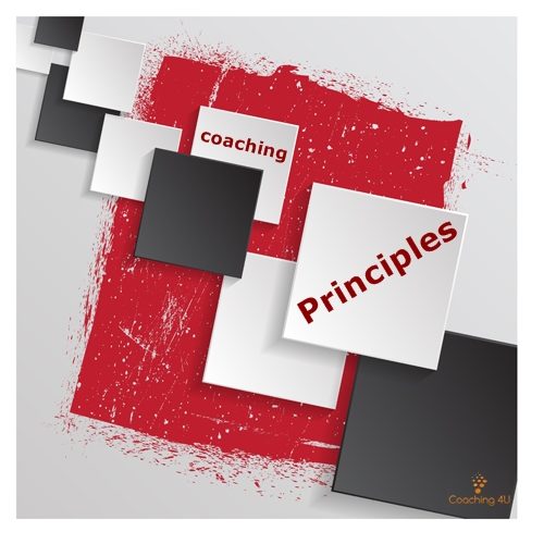 principles.jpg