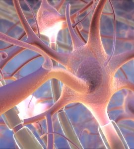 tiszta erős kom.jpg